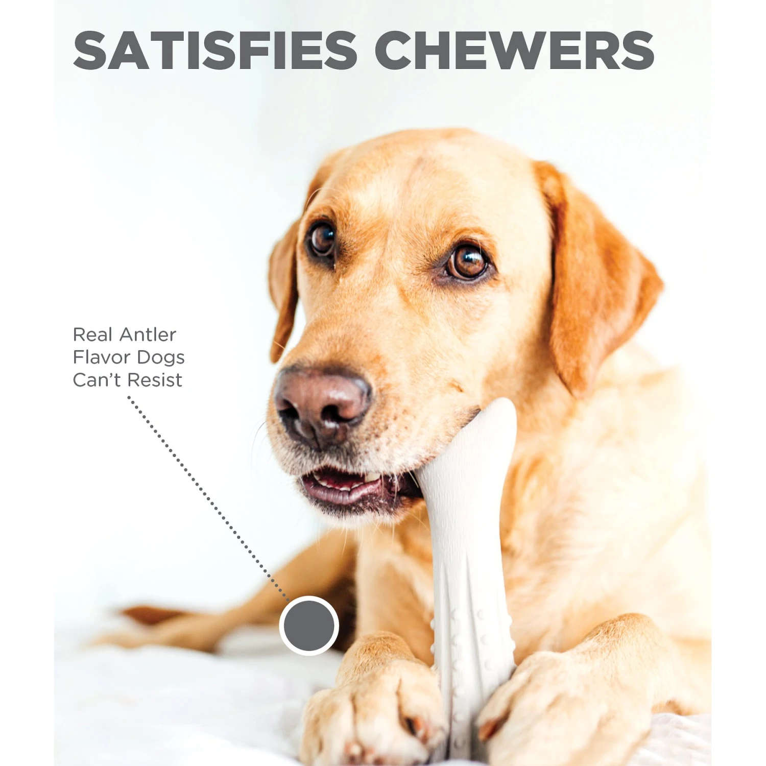 Petstages Deerhorn Tough Dog Chew Toy 3 Petstages Deerhorn Tough Dog Chew Toy - Image 3