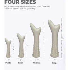 Petstages Deerhorn Tough Dog Chew Toy 10 Petstages Deerhorn Tough Dog Chew Toy -Pet Toys Shop 148094 PT3. AC SS1800 V1631681553