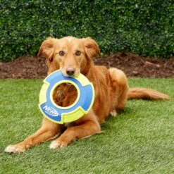 Nerf Dog Nylon & Foam Mega Tuff Fabric Flyer Dog Toy -Pet Toys Shop 148504 PT2. AC SS1800 V1545252444