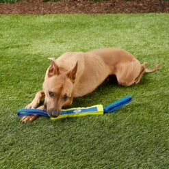 Nerf Dog Nylon & Foam Mega Tuff Fabric Competition Stick Dog Toy -Pet Toys Shop 148508 PT2. AC SS1800 V1545252470