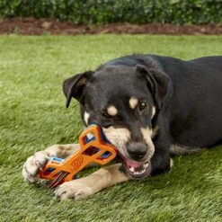 Nerf Dog EXO Treat Dispensing Bone Dog Toy -Pet Toys Shop 148525 PT5. AC SS1800 V1531938420