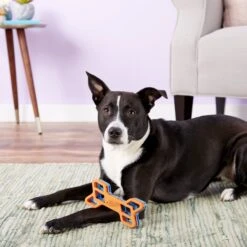 Nerf Dog EXO Treat Dispensing Bone Dog Toy -Pet Toys Shop 148525 PT6. AC SS1800 V1531938429