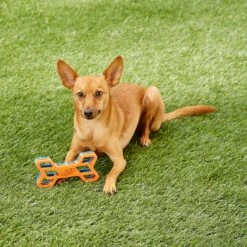 Nerf Dog EXO Treat Dispensing Bone Dog Toy -Pet Toys Shop 148525 PT7. AC SS1800 V1545252620