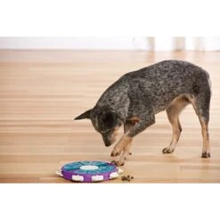 Nina Ottosson By Outward Hound Twister Puzzle Game Dog Toy 14 Nina Ottosson By Outward Hound Twister Puzzle Game Dog Toy -Pet Toys Shop 148598 PT6. AC SS1800 V1636514895