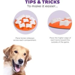 Nina Ottosson By Outward Hound Puppy Smart Dog Toy -Pet Toys Shop 148603 PT3. AC SS1800 V1694287423