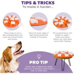 Nina Ottosson By Outward Hound Puppy Smart Dog Toy -Pet Toys Shop 148603 PT4. AC SS1800 V1694286106