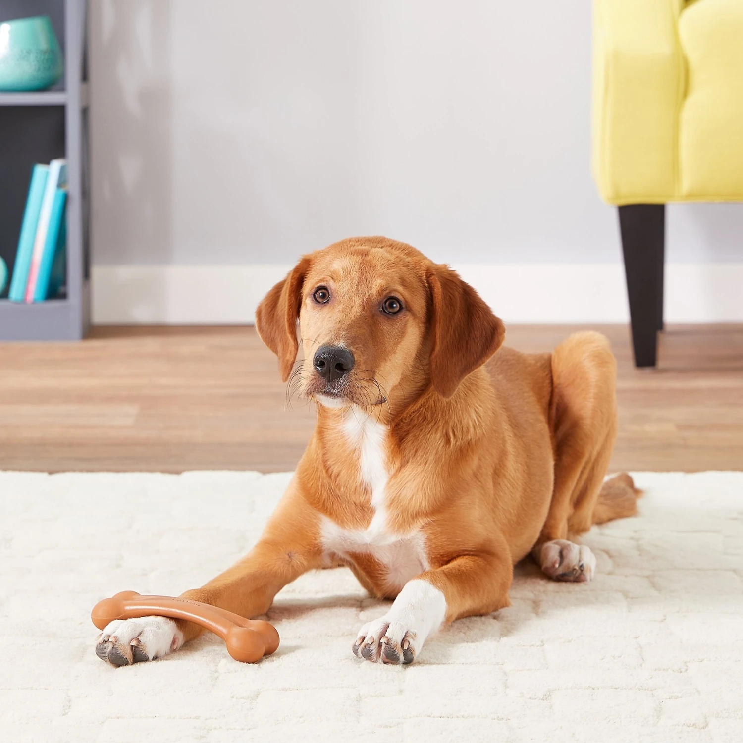 Pet Qwerks BarkBone BBQ Flavor Tough Dog Chew Toy 4 Pet Qwerks BarkBone BBQ Flavor Tough Dog Chew Toy - Image 4