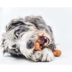 Pet Qwerks BarkBone BBQ Flavor Tough Dog Chew Toy 11 Pet Qwerks BarkBone BBQ Flavor Tough Dog Chew Toy -Pet Toys Shop 151576 PT4. AC SS1800 V1589901979