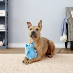 Multipet Hedgehog Squeaky Plush Dog Toy, Color Varies -Pet Toys Shop 151614 PT2. AC SS1800 V1545257301