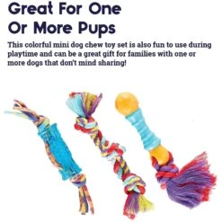 Outward Hound Dental Chew Pack Dog Toy -Pet Toys Shop 152318 PT3. AC SS1800 V1636500689