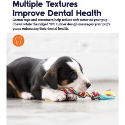 Outward Hound Dental Chew Pack Dog Toy -Pet Toys Shop 152318 PT4. AC SS1800 V1636510900