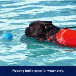 Frisco Foam Rubber Floating Fetch Ball No Squeak Dog Toy 9 Frisco Foam Rubber Floating Fetch Ball No Squeak Dog Toy -Pet Toys Shop 152798 PT3. AC SS1800 V1686579688