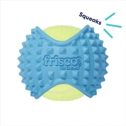 Frisco Fetch Squeaky Tennis Ball With Rubber Sleeve Dog Toy -Pet Toys Shop 152844 PT2. AC SS1800 V1691776695