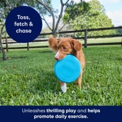Frisco Fetch Rubber Flyer Dog Toy -Pet Toys Shop 152848 PT5. AC SS1800 V1692370079