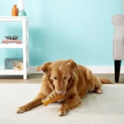 Starmark Treat Ringer FlexGrip Turkey Leg Tough Dog Chew Toy -Pet Toys Shop 153852 PT2. AC SS1800 V1589320938