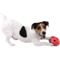 Nerf Dog Bash Crunch Football Dog Toy -Pet Toys Shop 154011 PT3. AC SS1800 V1539696423
