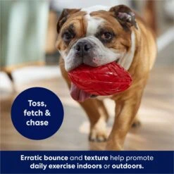 Frisco Football TPR Squeaky Dog Toy 8 Frisco Football TPR Squeaky Dog Toy -Pet Toys Shop 154412 PT3. AC SS1800 V1686578718