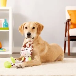 Charming Pet Thunda Tugga Leggy Cow Squeaky Plush Dog Toy -Pet Toys Shop 155141 PT3. AC SS1800 V1594672278