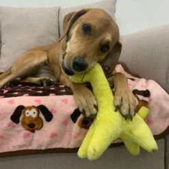 Snuggle Puppy Tender-Tuffs Soft Giraffe Dog Comfort Toy 11 Snuggle Puppy Tender-Tuffs Soft Giraffe Dog Comfort Toy -Pet Toys Shop 155725 PT4. AC SS1800 V1667519246