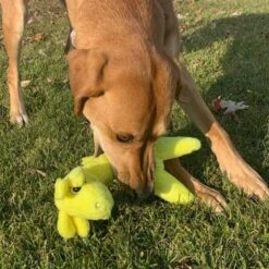 Snuggle Puppy Tender-Tuffs Soft Giraffe Dog Comfort Toy 12 Snuggle Puppy Tender-Tuffs Soft Giraffe Dog Comfort Toy -Pet Toys Shop 155725 PT5. AC SS1800 V1667519421