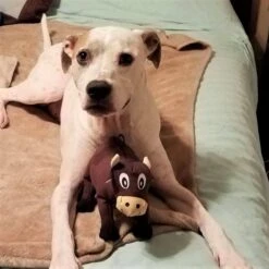 Snuggle Puppy Tender-Tuffs Plump Cow Tough Squeaky Dog Toy -Pet Toys Shop 155733 PT4. AC SS1800 V1667519721