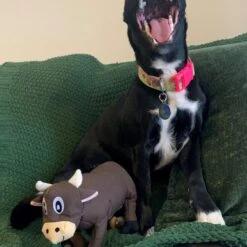 Snuggle Puppy Tender-Tuffs Plump Cow Tough Squeaky Dog Toy -Pet Toys Shop 155733 PT5. AC SS1800 V1667518878