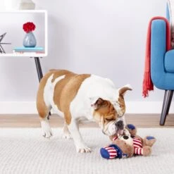 Frisco American Flag Bear Plush Squeaky Dog Toy -Pet Toys Shop 157187 PT2. AC SS1800 V1559764047