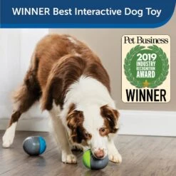 PetSafe Ricochet Interactive Sound Game Dog Toy 11 PetSafe Ricochet Interactive Sound Game Dog Toy -Pet Toys Shop 159052 PT3. AC SS1800 V1599844580