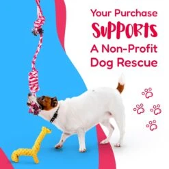 Pacific Pups Rescue Assorted Rope Dog Toys -Pet Toys Shop 159359 PT2. AC SS1800 V1701935706
