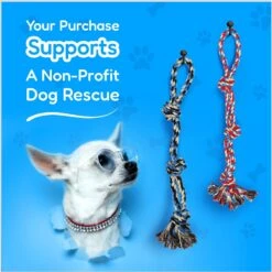 Pacific Pups Rescue 4-Piece Medium & Large Dog Rope & Ball Toy Set -Pet Toys Shop 159360 PT3. AC SS1800 V1692806970