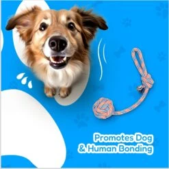 Pacific Pups Rescue 4-Piece Medium & Large Dog Rope & Ball Toy Set -Pet Toys Shop 159360 PT4. AC SS1800 V1692806969