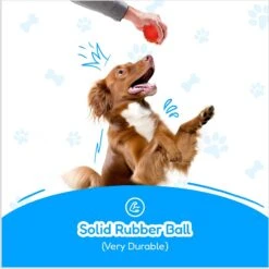 Pacific Pups Rescue 4-Piece Medium & Large Dog Rope & Ball Toy Set -Pet Toys Shop 159360 PT5. AC SS1800 V1692806970