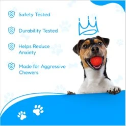 Pacific Pups Rescue 4-Piece Medium & Large Dog Rope & Ball Toy Set -Pet Toys Shop 159360 PT6. AC SS1800 V1692806969