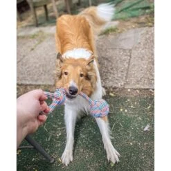 Pacific Pups Rescue 4-Piece Medium & Large Dog Rope & Ball Toy Set -Pet Toys Shop 159360 PT8. AC SS1800 V1692806271