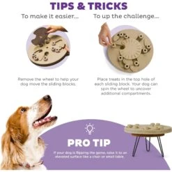 Nina Ottosson By Outward Hound Hide N' Slide Puzzle Game Dog Toy -Pet Toys Shop 159428 PT3. AC SS1800 V1694287373