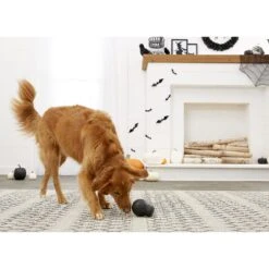 SodaPup Mutts Kick Butt Skull Treat Dispensing Dog Toy -Pet Toys Shop 160654 PT2. AC SS1800 V1564602513