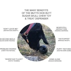 SodaPup Mutts Kick Butt Skull Treat Dispensing Dog Toy -Pet Toys Shop 160654 PT3. AC SS1800 V1564520824
