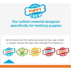 Nylabone Puppy Chew Freezer Dog Toy Teething Chew Chilling Cloth Lamb & Apple -Pet Toys Shop 161305 PT2. AC SS1800 V1693419655