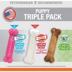 Nylabone Puppy Chew Variety Toy & Treat Triple Pack 11 Nylabone Puppy Chew Variety Toy & Treat Triple Pack -Pet Toys Shop 161311 PT2. AC SS1800 V1688152624