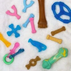 Nylabone Puppy Chew Variety Toy & Treat Triple Pack 14 Nylabone Puppy Chew Variety Toy & Treat Triple Pack -Pet Toys Shop 161311 PT5. AC SS1800 V1688142362