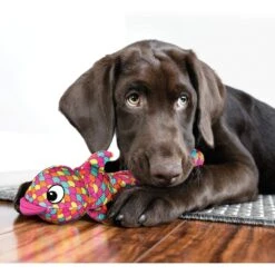 KONG Wubba Finz Dog Toy -Pet Toys Shop 161869 PT2. AC SS1800 V1631769991