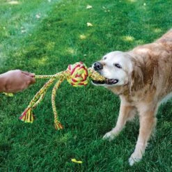 KONG Wubba Weaves With Rope Dog Toy, Color Varies -Pet Toys Shop 161873 PT2. AC SS1800 V1552941190