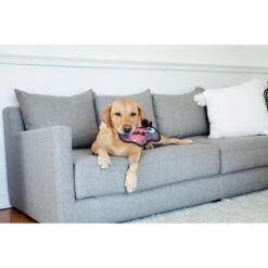 Outward Hound Squeak-Seez Cow Plush Dog Toy -Pet Toys Shop 162048 PT6. AC SS1800 V1636501012