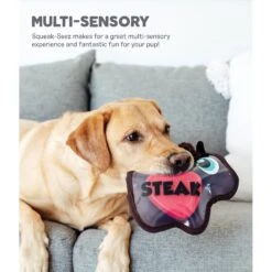 Outward Hound Squeak-Seez Cow Plush Dog Toy -Pet Toys Shop 162048 PT7. AC SS1800 V1590005359