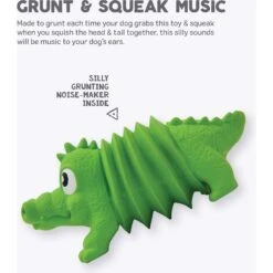 Outward Hound Accordionz Gator Stuffing-Free Squeaky Dog Toy 8 Outward Hound Accordionz Gator Stuffing-Free Squeaky Dog Toy -Pet Toys Shop 162058 PT2. AC SS1800 V1631681566