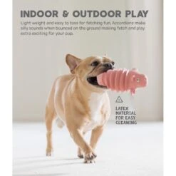 Outward Hound Accordionz Gator Stuffing-Free Squeaky Dog Toy 9 Outward Hound Accordionz Gator Stuffing-Free Squeaky Dog Toy -Pet Toys Shop 162058 PT3. AC SS1800 V1631680949