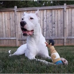 Charming Pet Squawkers Grandpa Gimpy Hip Squeaky Latex Dog Toy -Pet Toys Shop 162076 PT2. AC SS1800 V1594672282