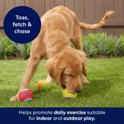 Frisco Birthday Fetch Squeaky Tennis Ball Dog Toy -Pet Toys Shop 162914 PT5. AC SS1800 V1692020098