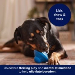 Frisco Flying Saucer Rubber Treat Dispenser Dog Toy -Pet Toys Shop 164757 PT5. AC SS1800 V1691784247