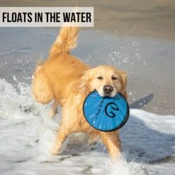 Hyper Pet Flippy Flopper Flying Disc Dog Toy -Pet Toys Shop 169579 PT3. AC SS1800 V1631051199